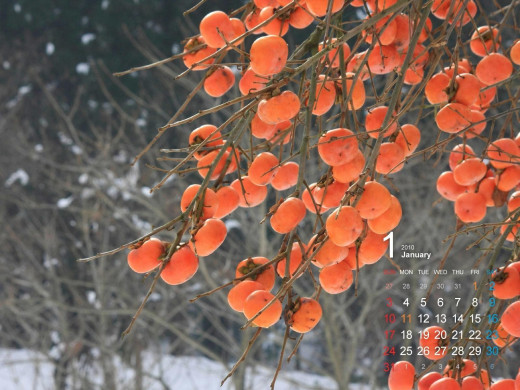 401651 (a): :1600x1200
